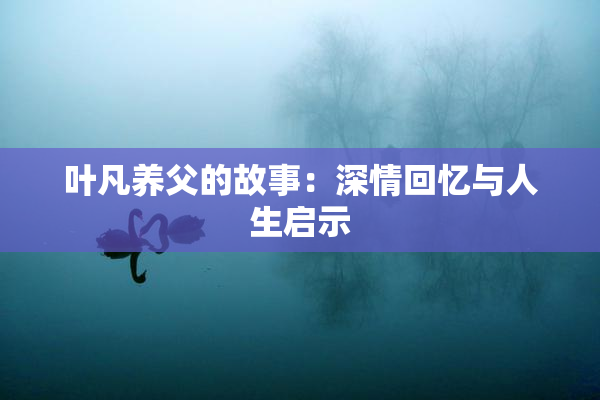 叶凡养父的故事：深情回忆与人生启示
