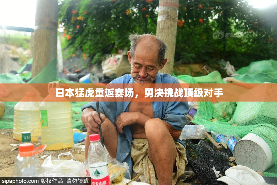 日本猛虎重返赛场，勇决挑战顶级对手