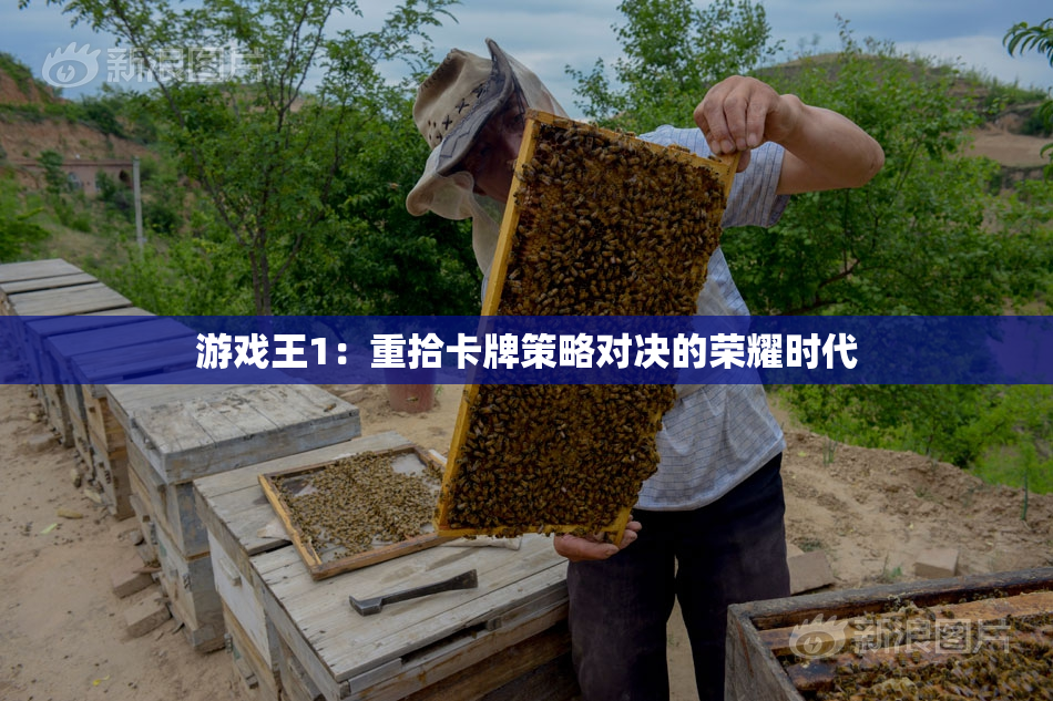 游戏王1：重拾卡牌策略对决的荣耀时代