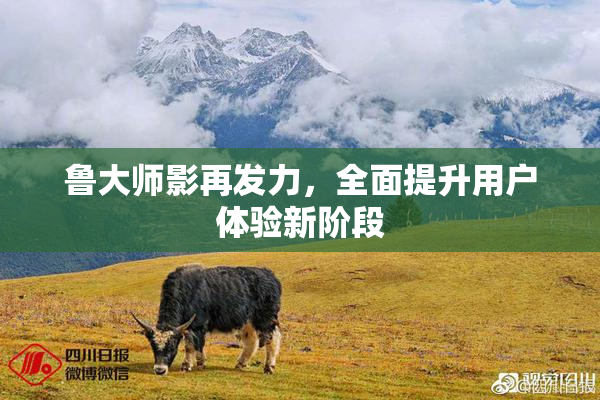鲁大师影再发力，全面提升用户体验新阶段