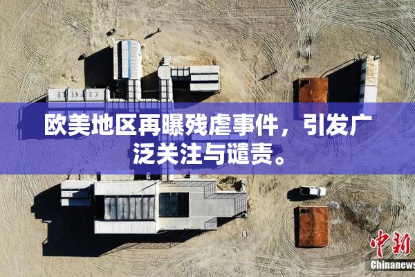 欧美地区再曝残虐事件，引发广泛关注与谴责。