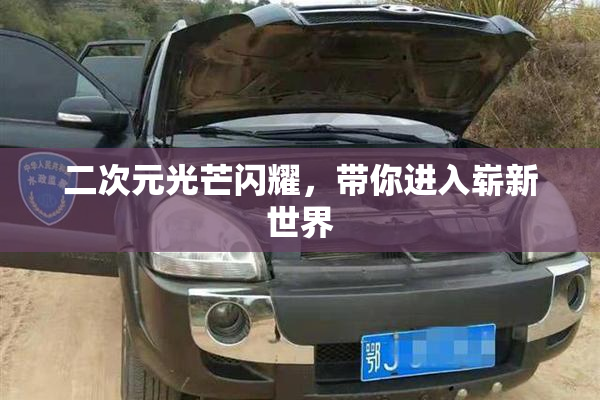 二次元光芒闪耀，带你进入崭新世界