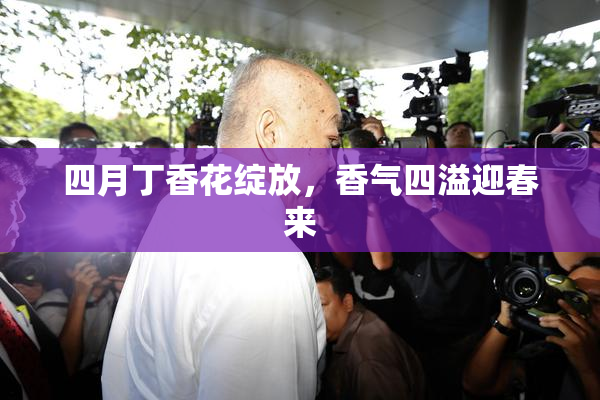 四月丁香花绽放，香气四溢迎春来