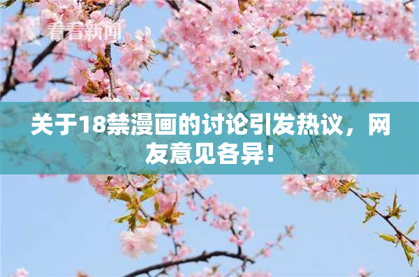关于18禁漫画的讨论引发热议，网友意见各异！