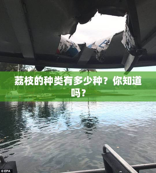 荔枝的种类有多少种？你知道吗？