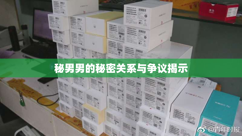 秘男男的秘密关系与争议揭示