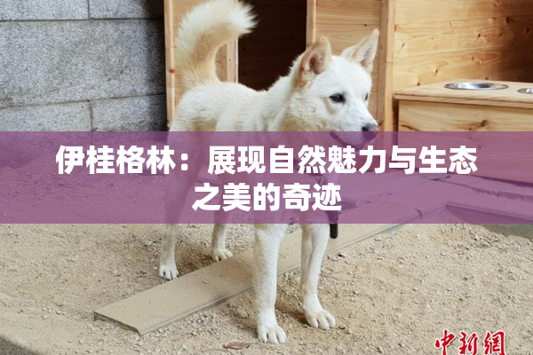 伊桂格林：展现自然魅力与生态之美的奇迹