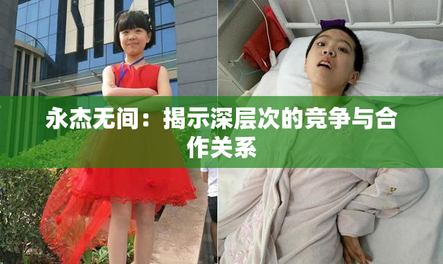 永杰无间：揭示深层次的竞争与合作关系