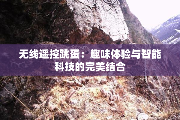 无线遥控跳蛋：趣味体验与智能科技的完美结合