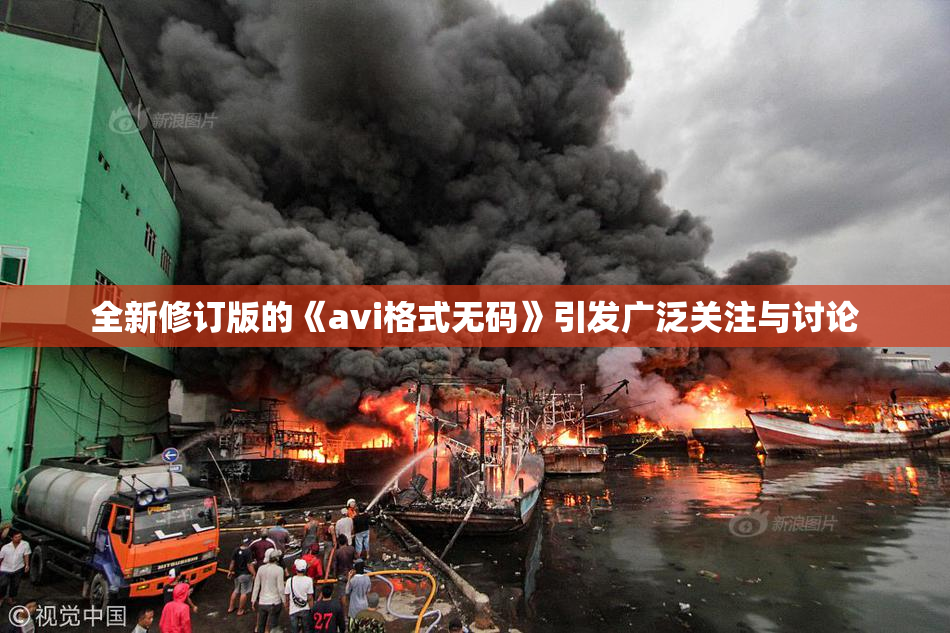 全新修订版的《avi格式无码》引发广泛关注与讨论