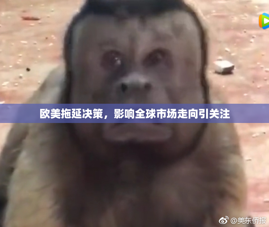 欧美拖延决策，影响全球市场走向引关注