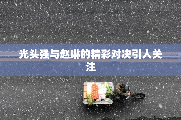 光头强与赵琳的精彩对决引人关注