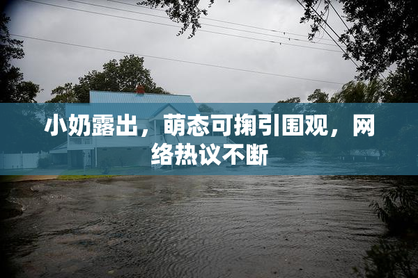 小奶露出，萌态可掬引围观，网络热议不断