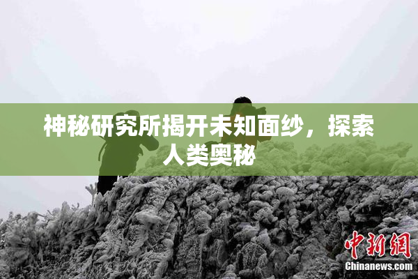 神秘研究所揭开未知面纱，探索人类奥秘