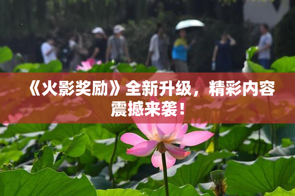《火影奖励》全新升级，精彩内容震撼来袭！