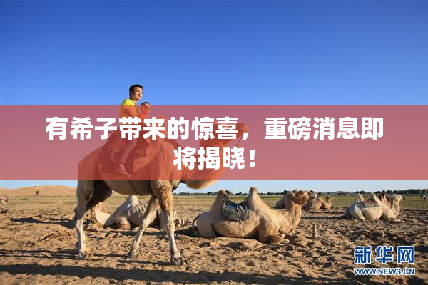 有希子带来的惊喜，重磅消息即将揭晓！