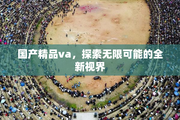 国产精品va，探索无限可能的全新视界