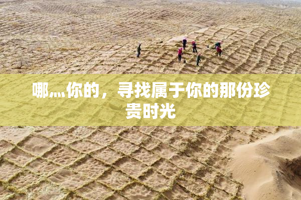 哪灬你的，寻找属于你的那份珍贵时光