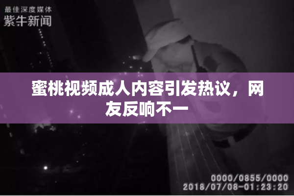 蜜桃视频成人内容引发热议，网友反响不一