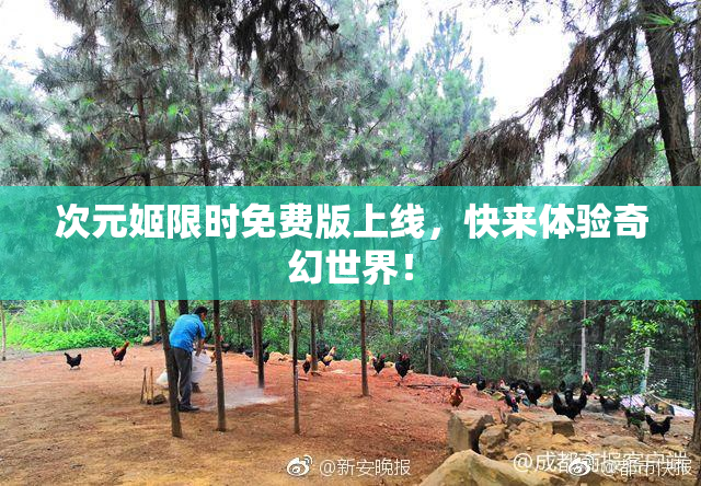 次元姬限时免费版上线，快来体验奇幻世界！