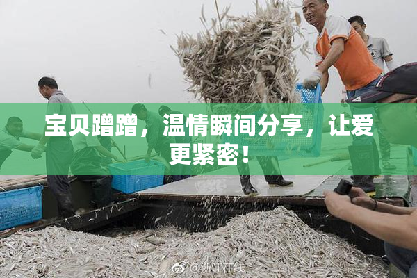 宝贝蹭蹭，温情瞬间分享，让爱更紧密！
