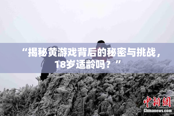 “揭秘黄游戏背后的秘密与挑战，18岁适龄吗？”