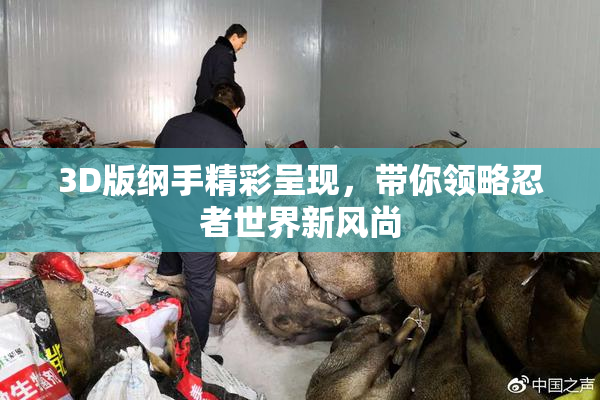 3D版纲手精彩呈现，带你领略忍者世界新风尚