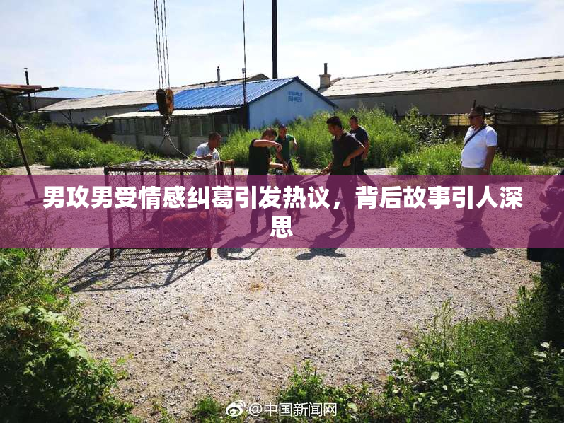 男攻男受情感纠葛引发热议，背后故事引人深思