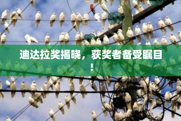 迪达拉奖揭晓，获奖者备受瞩目！