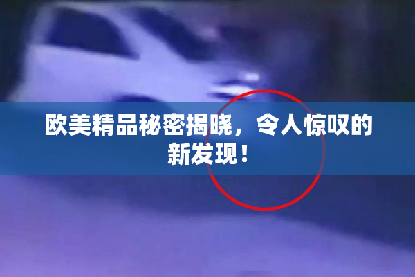 欧美精品秘密揭晓，令人惊叹的新发现！