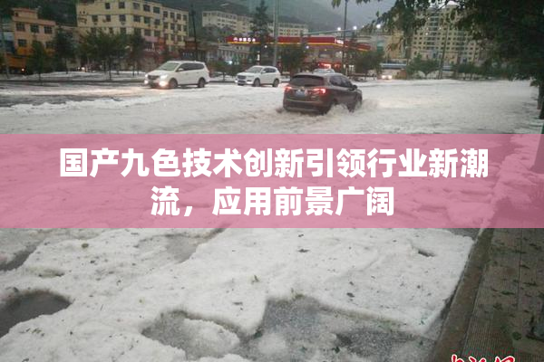 国产九色技术创新引领行业新潮流，应用前景广阔