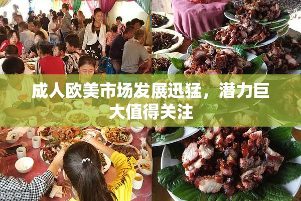 成人欧美市场发展迅猛，潜力巨大值得关注