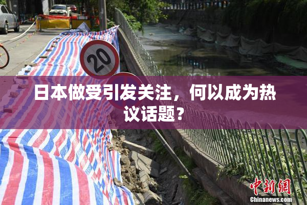 日本做受引发关注，何以成为热议话题？