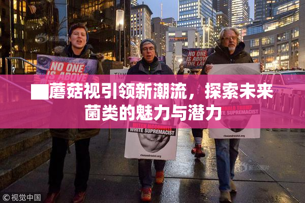 ▇蘑菇视引领新潮流，探索未来菌类的魅力与潜力