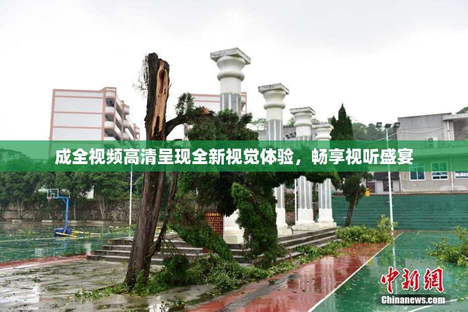 成全视频高清呈现全新视觉体验，畅享视听盛宴