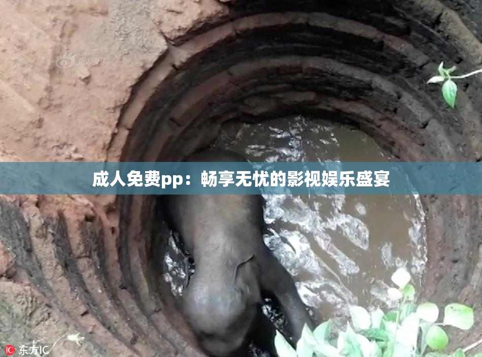 成人免费pp：畅享无忧的影视娱乐盛宴