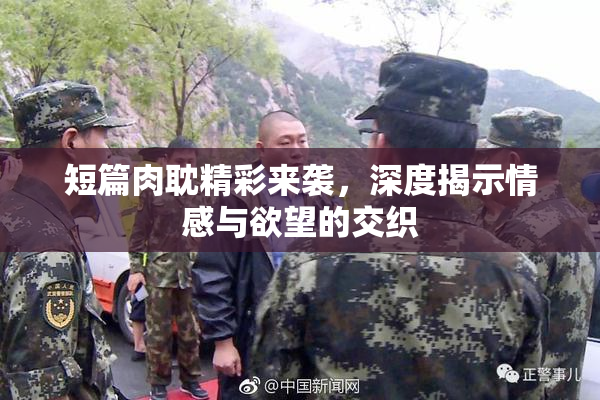 短篇肉耽精彩来袭，深度揭示情感与欲望的交织