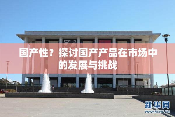 国产性？探讨国产产品在市场中的发展与挑战