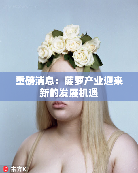 重磅消息：菠萝产业迎来新的发展机遇