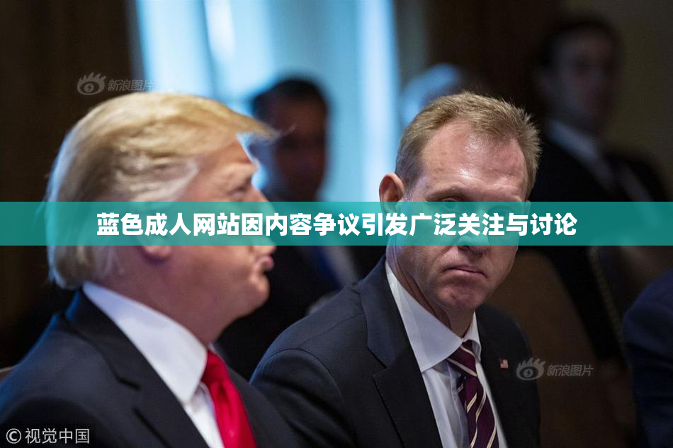 蓝色成人网站因内容争议引发广泛关注与讨论