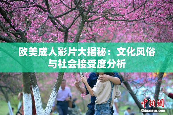 欧美成人影片大揭秘：文化风俗与社会接受度分析