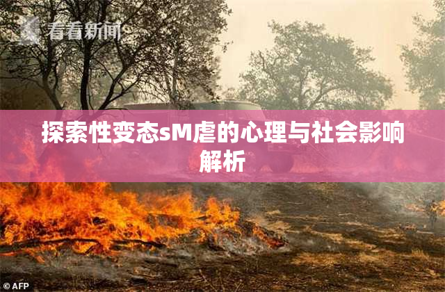 探索性变态sM虐的心理与社会影响解析