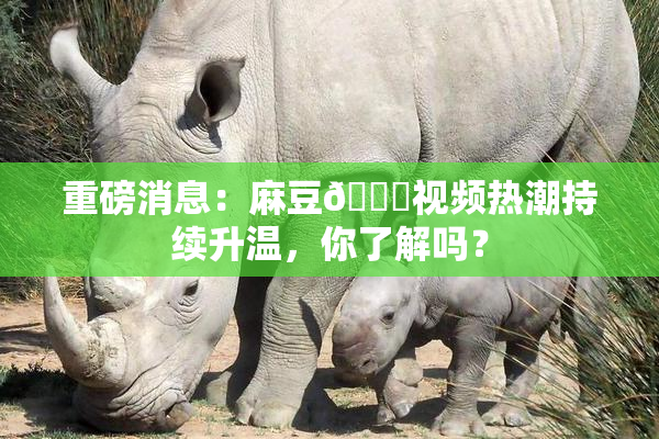 重磅消息：麻豆🔞视频热潮持续升温，你了解吗？