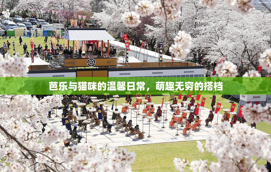 芭乐与猫咪的温馨日常，萌趣无穷的搭档