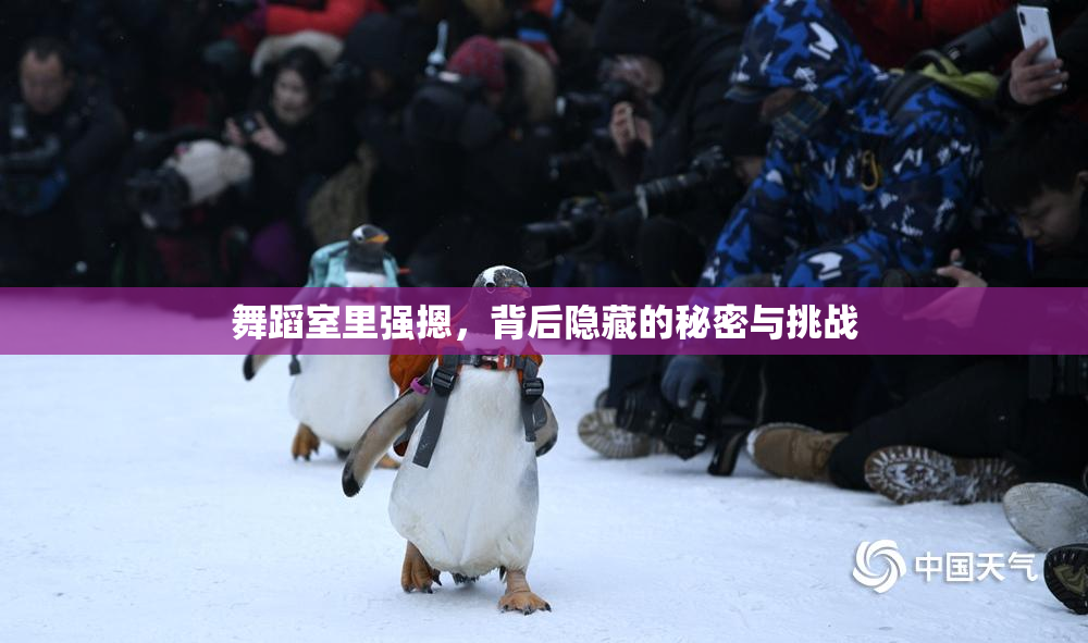 舞蹈室里强摁，背后隐藏的秘密与挑战