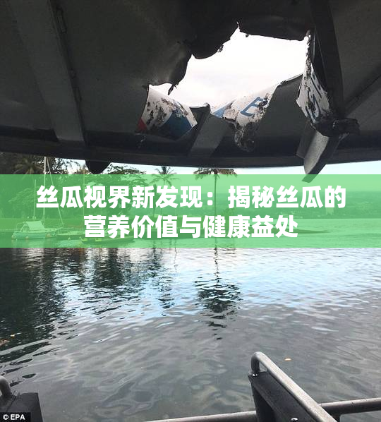 丝瓜视界新发现：揭秘丝瓜的营养价值与健康益处