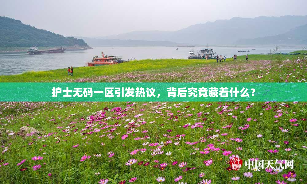 护士无码一区引发热议，背后究竟藏着什么？