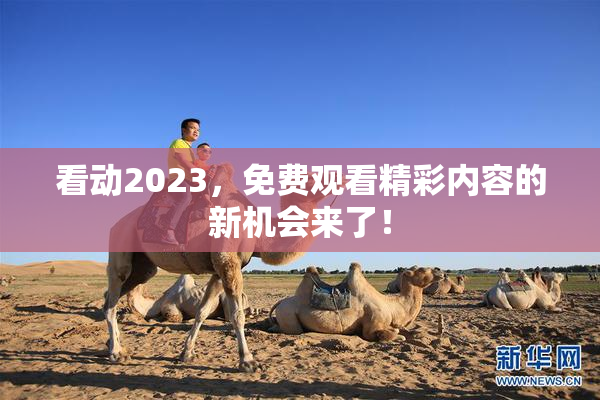 看动2023，免费观看精彩内容的新机会来了！