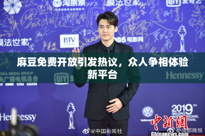 麻豆免费开放引发热议，众人争相体验新平台