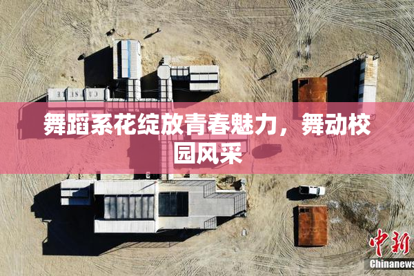 舞蹈系花绽放青春魅力，舞动校园风采